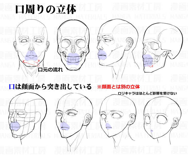 沉稳动漫角色和成熟美型角色的脸部画法参考素材