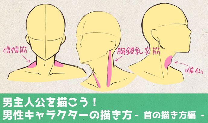 男性角色脖子、喉结的画法！