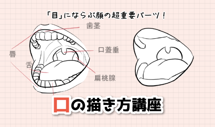 嘴部的画法！